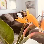 ヴィラ Casa Do Manuel Maria Estreito da Calheta