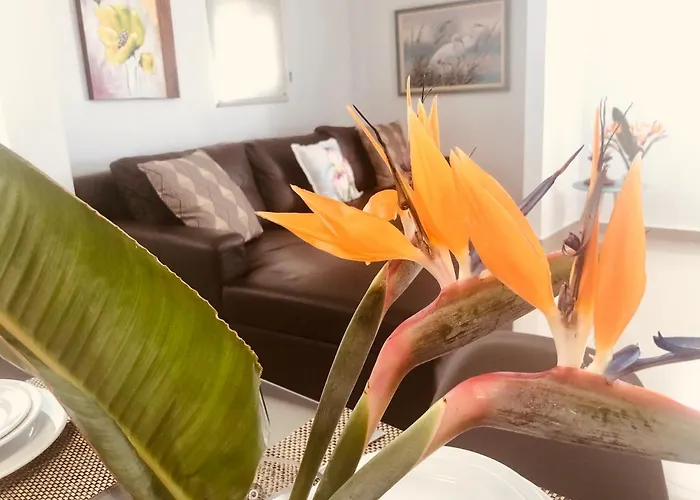 Villa Casa Do Manuel Maria Estreito Da Calheta